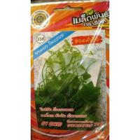 ราคา เมล็ดตำลึง ผักสวนครัว ยอดตำลึง 5 กรัม/ซอง ตราสี่ทิศ (10 แถม 1) เมล็ดตำลึง (5133031546)