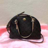 ราคา กระเป๋า Coach peyton mini dome (362127191)