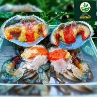 ราคา ปูดำ ปูทะเล ปูไข่เล็ก6-8ตัว/1kg, ปูไข่กลาง4-5ตัว/1kg, ปูไข่จัมโบ้3-4ตัว/1kg, คัดไข่แน่นทุกตัว จัดส่งทั่วประเทศ (11979670091)