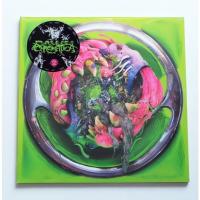 ราคา Lady Gaga - Dawn Of Chromatica (Clear Vinyl) (22029089979)