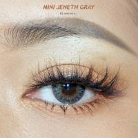 ราคา คอนแทคเลนส์ Kitty kawaii รุ่น Mini jeneth gray(สีเทา) (1999796696)