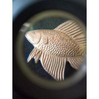 ราคา ปลากัดปั้ม รุ่นแรก หลวงปู่น่วม นาถสีโล วัดโพธิ์ศรีเจริญ ต.บ้านกร่าง อ.ศรีประจันต์ จ.สุพรรณบุรี (14439438284)