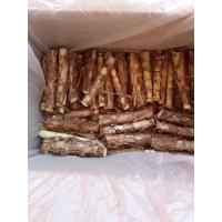ราคา ท่อนพันธุ์หญ้าหวานอิสราเอลจำนวน 50 ท่อน (10100856570)