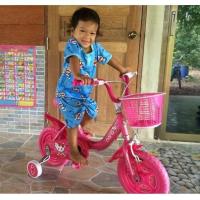 ราคา จักรยานเด็ก 12นิ้ว CUTE CAT สีชมพู / 3009 / โดเรม่อน ลิขสิทธิ์แท้ / แมวสีชมพู จักรยานโดเรม่อน Doraemon รถจักรยานเด็ก (8187450174)
