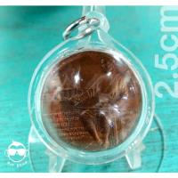 ราคา เหรียญที่ระลึกประจำจังหวัด พิษณุโลก เป็นรูปตราจังหวัดพระพุทธ ชินราช และรูปสมเด็จพระนเรศวร ผลิตโดยกรมธนารักษ์ เหรียญทองแด (14553785941)