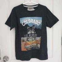 ราคา เสื้อยืดมือสอง ยี่ห้อ SUPERTEES ไซส์ M "Colorado" สีเทาเข้ม (4413029324)