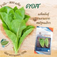 ราคา ปารีสไวท์คอส (Paris White Cos) #เมล็ดผักสลัด (8081539763)