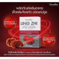 ราคา ส่งฟรีเห็ดหลินจือ แดงสกัด กิฟฟารีน LING ZHI MUSHROOM GIFFARINE บำรุงร่างกาย บำรุงไต ต้านมะเร็ง (11400066646)