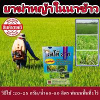 ราคา ยาฆ่าหญ้าตายไว บิสโต้ ขนาด 100 กรัม ยาฆ่าหญ้าแรงๆ ใช้ได้ 4-5 ไร่ ยาฆ่าหญ้าใบแคบ หญ้าในนาข้าว #ยาในนาข้าว #ยาฉีดในนาข้าว (9150572151)