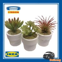 ราคา ต้นไม้ปลอม ชุด 3 ต้นเล็ก ไซส์มินิ ไม้กระถางประดิษฐ์+กระถาง FEJKA เฟคก้า IKEA ขนาด 4 ซม. (5820023385)