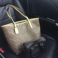 ราคา Coach tote 16 สีเหลือง (7501247862)