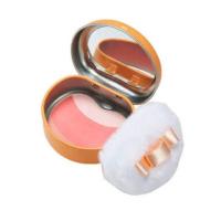 ราคา ของแท้1แถม1Skinfood Apple Can Multi Blusher (256473492)