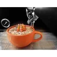 ราคา กระถางเซรามิก กระถางแคคตัส (5265272320)