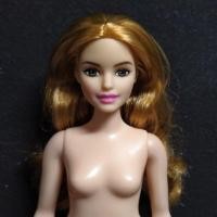 ราคา บาร์บี้ barby curvy body สาวอวบผมทองส้ม ตัวนู้ด หน้าสวยผิวขาว (2101828932)