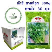 ราคา เมล็ดผักชี สายพิรุณ 300g ยกลัง 30 ถุง ตราศรแดง ราคาส่ง (9815025767)
