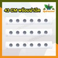 ราคา รางปลูกผักไฮโดรโปนิกส์แบบน้ำนิ่ง 43 ซม. 6 ช่องปลูก สำหรับปลูกผักไฮโดรโปนิกส์ (11231538544)