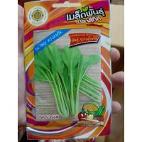 ราคา เมล็ดผักกาดกวางตุ้ง พันธุ์ กวางตุ้งต้น 4 ทิศ กวางตุ้ง (10 แถม 1)คละได้ เมล็ดผัก เมล็ดพันธุ์ ตรา สี่ทิศ 4ทิศ (7948347018)