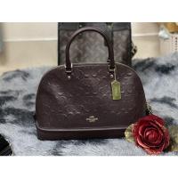 ราคา coach โดมใบใหญ่ ไซส์ 13 นิ้ว สีเเดงเมอกันดี (22417457256)