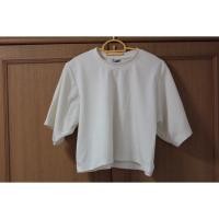 ราคา oversize เสื้อครอปตัวใหญ่ (83560704)