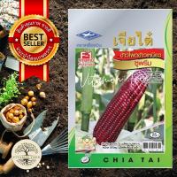 ราคา เมล็ดพันธุ์ ข้าวโพด ข้าวเหนียวซูพรีม 10กรัม (7951412773)