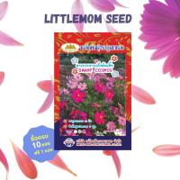 ราคา เมล็ดดอกดาวกระจายฝรั่งต้นเตี้ย ภูเขาทอง 60 เมล็ด (11602274178)