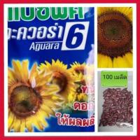 ราคา เมล็ดทานตะวันดอกใหญ่ 100 เมล็ด แบ่งขายใส่ถุงซิป (4725919959)