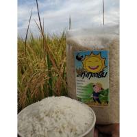 ราคา ข้าวหอมมะลิ สุรินทร์ ถุง5กิโลกรัม#ตราทุ่งกุลายิ้ม (4253171815)