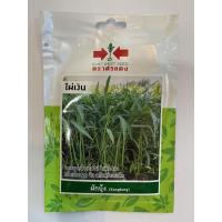 ราคา ไผ่เงิน ศรแดง เมล็ดพันธ์ุผักบุ้ง ตราศรแดง ชื่อพันธ์ุไผ่เงิน เมล็ดพันธ์ุคุณภาพตราศรเเดง บรรจุในซองอย่างดีเพื่อคุณภาพสินค้ (7031867533)