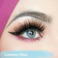 ราคา คอนแทคเลนส์ ✨ขนาดมินิ ✨Blue✨Florida/Lamune (1345163655)