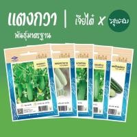 ราคา เมล็ดผัก เมล็ดแตงกวา แตงกวา แตงท่อน แตงร้าน แตงไทยอ่อน ผัก l เจียไต๋ เมล็ดพันธุ์ผัก ปลูกผัก (4059846434)