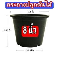 ราคา กระถางต้นไม้พลาสติก 8 นิ้ว สีดำ ทรงกลม จำนวน 50ใบ (13816958034)