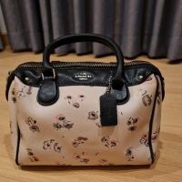 ราคา Coach ทรงหมอน แท้ มือสอง สภาพ 65% (18724563345)