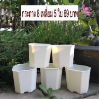 ราคา ขายโล๊ะ เซ็ต5ใบ กระถางต้นไม้ 8เหลี่ยม 3.5 นิ้ว สีขาว กระถางปลูกต้นไม้ กระถางพลาสติกแปดเหลี่ยม เนื้อหนา ทน พลาสติกแข็งแรง (5639918021)