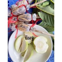 ราคา กิ่งตอนตุ้มฝรั่งกิมจู (22758424947)