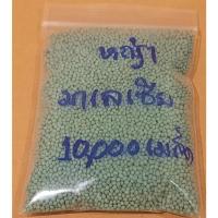 ราคา ขายส่ง เมล็ดหญ้ามาเลเซีย Tropical Carpet grass Savanna Grass หญ้าเห็บ หญ้าไผ่ หญ้าปูสนาม สนามหญ้า สนามหญ้าและสวน ปูหญ้า (1487825735)