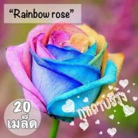 ราคา HOT!ต้อนรับวาเลนไทน์เมล็ดพันธุ์นำเข้า “กุหลาบสีรุ้ง”(Rainbow rose) (1890763793)