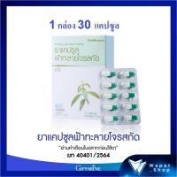 ราคา กิฟฟารีน ฟ้าทะลายโจร แคปซูล ( มีแอนโดรกราโฟไลด์ไม่น้อยกว่า 24 มก. ) มากกว่าเดิมถึง 6 เท่า สารสกัดฟ้าทะลายโจร (21024409662)