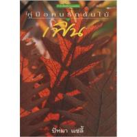 ราคา เฟิน / ปัทมา แซ่ลี้ (23801414303)