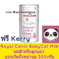 ราคา [ถูกที่สุด] Royal Canin Baby cat Milk นมผง นมสำหรับลูกแมว และแม่แมว 300กรัม babycat (782080798)