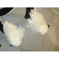 ราคา Used กิ๊บขนนก ใส่เป็นมงกุฎนางฟ้า (ปีกนางฟ้าหมด) (771944084)