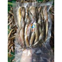 ราคา ปลาหลดแดดเดียว คละไซส์300กรัม​ (23649295821)