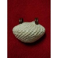 ราคา เบี้ยแก้​ถักเชือก​ หลวงปู่เจือ​ แท้ๆ (6784287621)