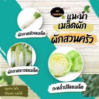 ราคา เมล็ดผัก ผักกาดหัว กะหล่ำปลี ผักกาดขาว เมล็ดพันธุ์ผัก 10แถม1คละได้ (23758415854)