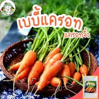 ราคา เมล็ดพันธุ์ เบบี้แครอท แครอทจิ๋ว LittleFingers CarrotSeed 2000 เมล็ด เมล็ดพันธุ์แท้ นำเข้าจากต่างประเทศ ปลูกผัก แครอท ดี (8108084095)