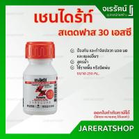 ราคา เชนไดร้ท์ สเตดฟาส 30SC ขนาด 250 ml. - กำจัดปลวก มอด มด และแมลงอื่นๆ ราดพื้น สูตรน้ำ น้ำยากำจัดแมลง ฆ่าแมลง (5632326406)