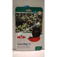ราคา [20แถม1] เมล็ดแตงโม แตงโมลูกผสม จอมขวัญ F1 เมล็ดพันธุ์ ศรแดง เมล็ดพันธุ์ผัก (6415288055)
