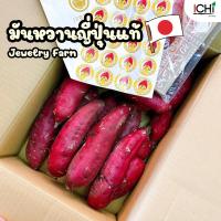 ราคา มันหวานญี่ปุ่นแท้ นำเข้าจากญี่ปุ่น (22967776137)