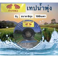 ราคา เทปน้ำพุ่งตรากบแดง ขนาด6หุน(3/4") 5รู ความยาว100เมตร และ ขนาด1นิ้ว 5รู ความยาว200เมตร (12984275957)