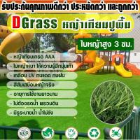ราคา หญ้าเทียม ปูพื้น Dgrass หญ้าเทียม อุปกรณ์ตกแต่งสวน สนามหญ้า หญ้าปูพื้นสนาม ความสูง 3 ซม. รุ่น 3R สีเขียวล้วน (205655147)