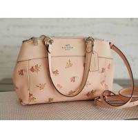 ราคา COACH F28978 MINI BROOKE CARRYALL WITH DAISY BUNDLE PRINT (1253116066)